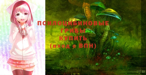 прущий лед Рославль